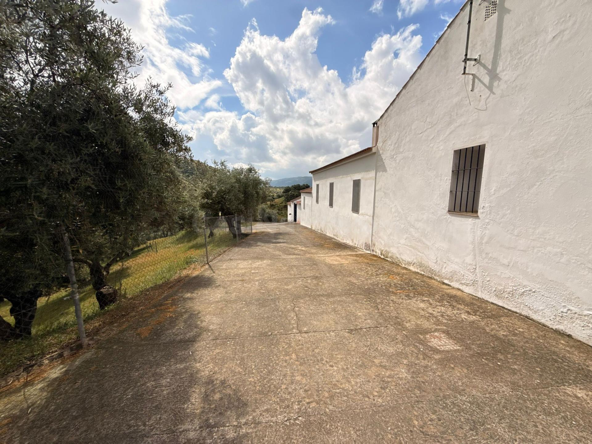 Finca rústica de 26 ha con 3.000 olivos ecológicos, cortijos - foto 3