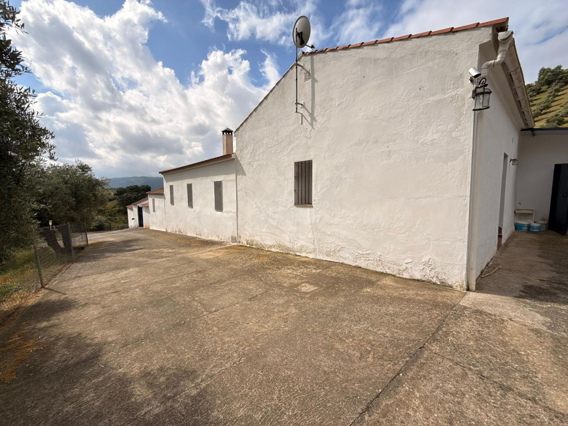 Finca rústica de 26 ha con 3.000 olivos ecológicos, cortijos - foto 4