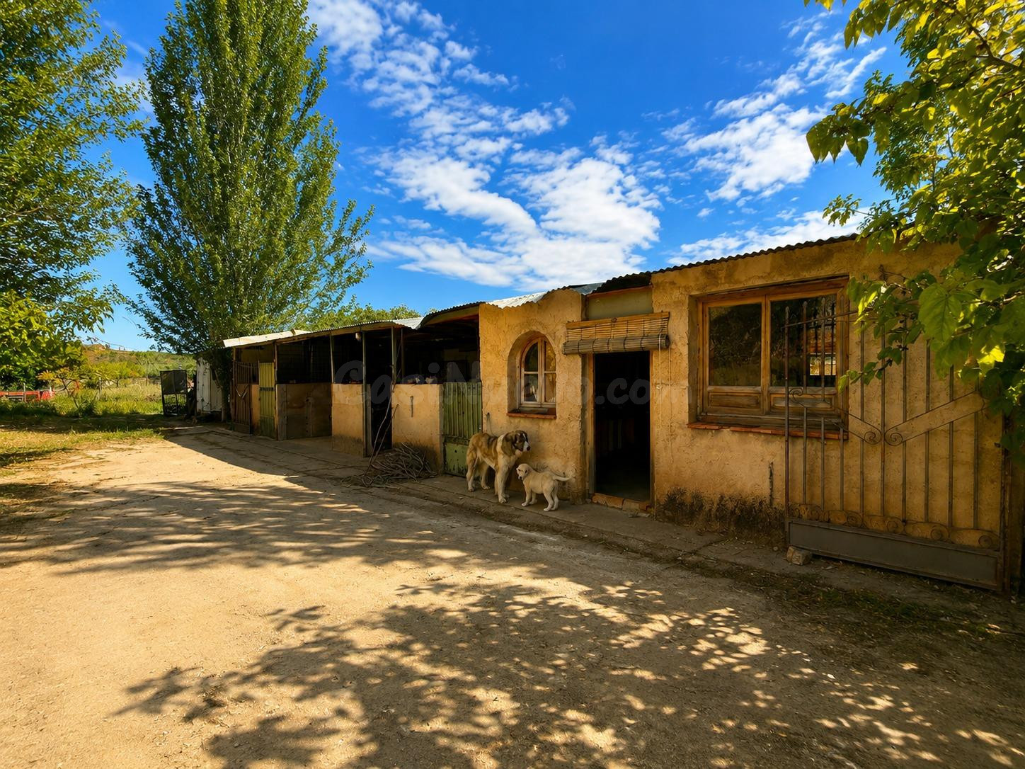 MAGNÍFICA FINCA RÚSTICA CON EDIFICACIÓN EN MONACHIL