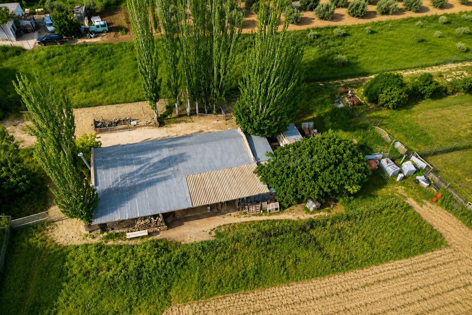 MAGNÍFICA FINCA RÚSTICA CON EDIFICACIÓN EN MONACHIL - foto 2