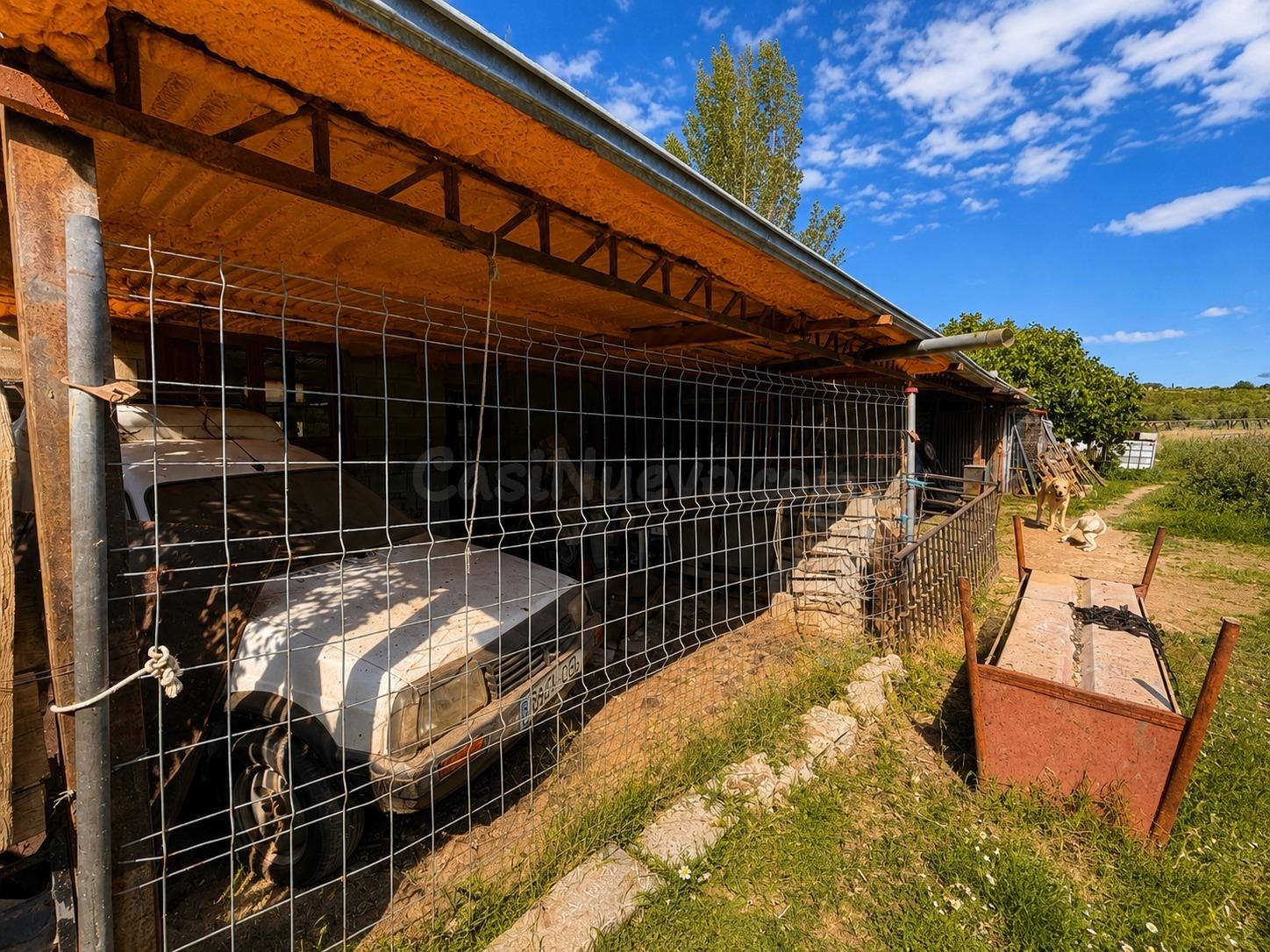 MAGNÍFICA FINCA RÚSTICA CON EDIFICACIÓN EN MONACHIL - foto 4