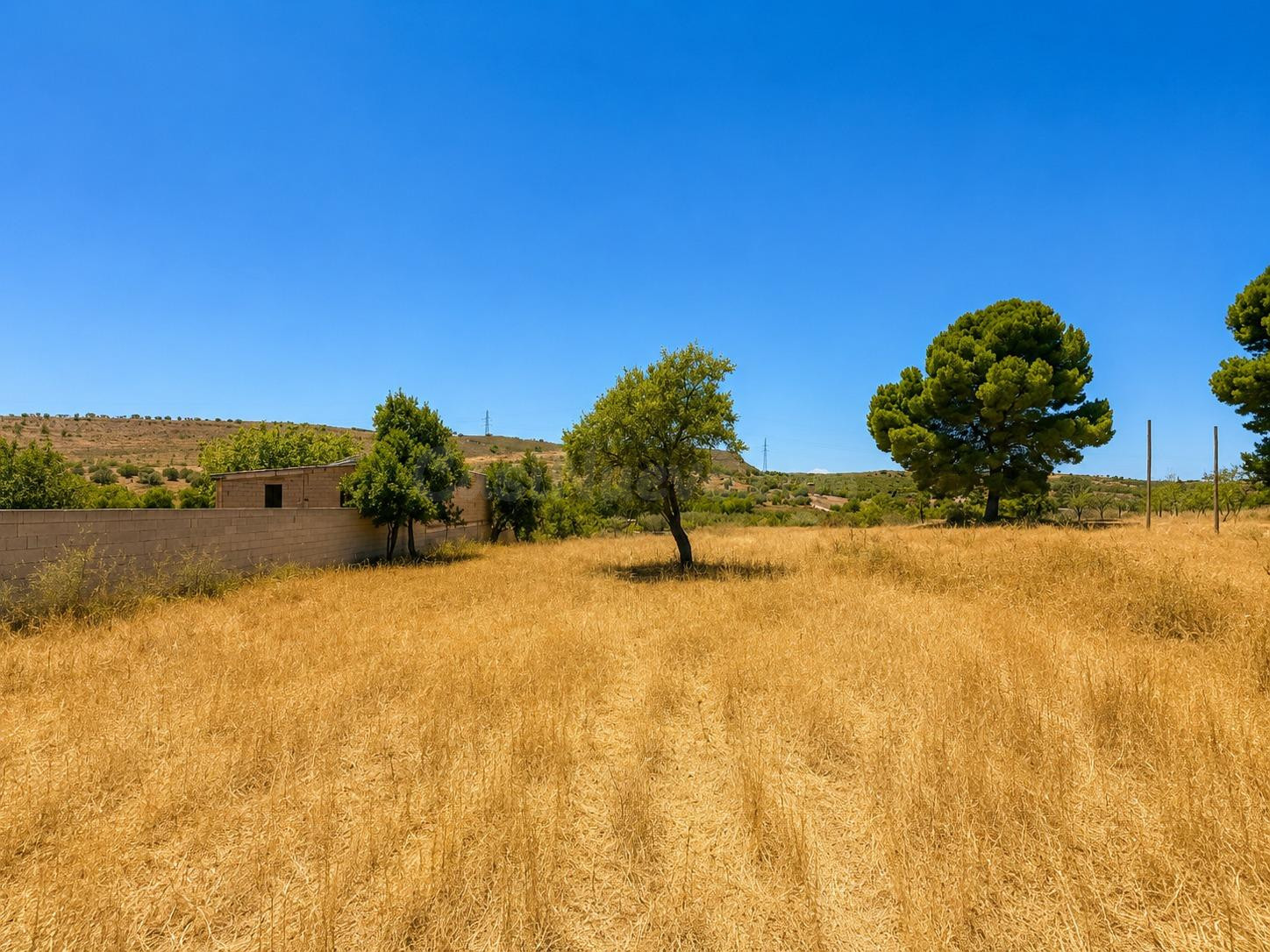 Magnifica finca rústica de 1.300 metros en El Arroyo de Padu - foto 4