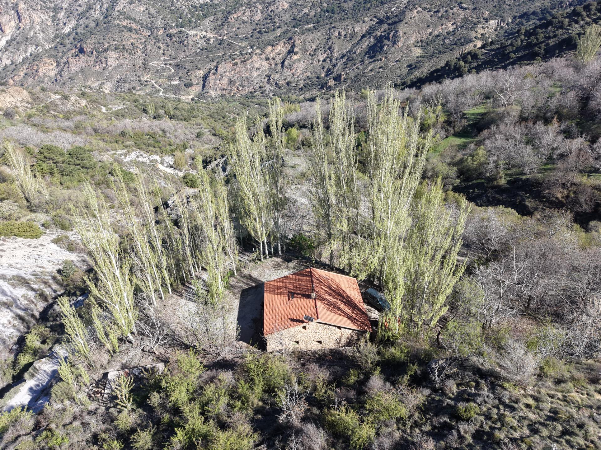 Magnífico cortijo en la Sierra de Durcal, acceso por Niguela - foto 5