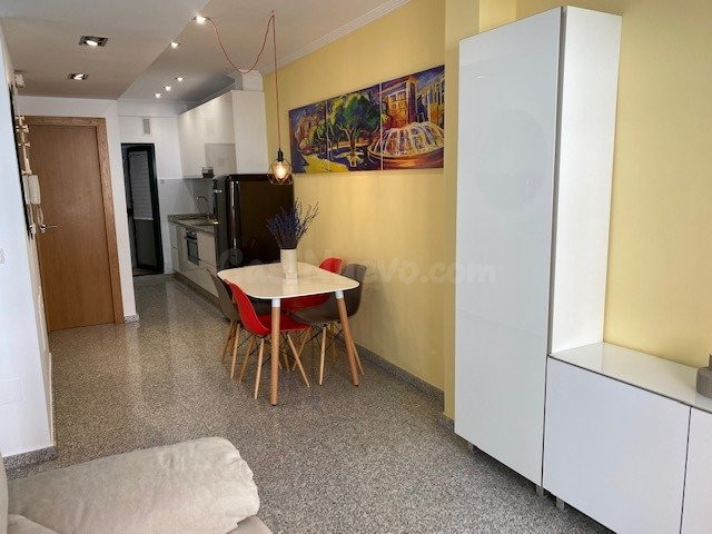 ALQUILER APARTAMENTO 1 DORMITORIO, CENTRICO, AMUEBLADO JUNTO - foto 3