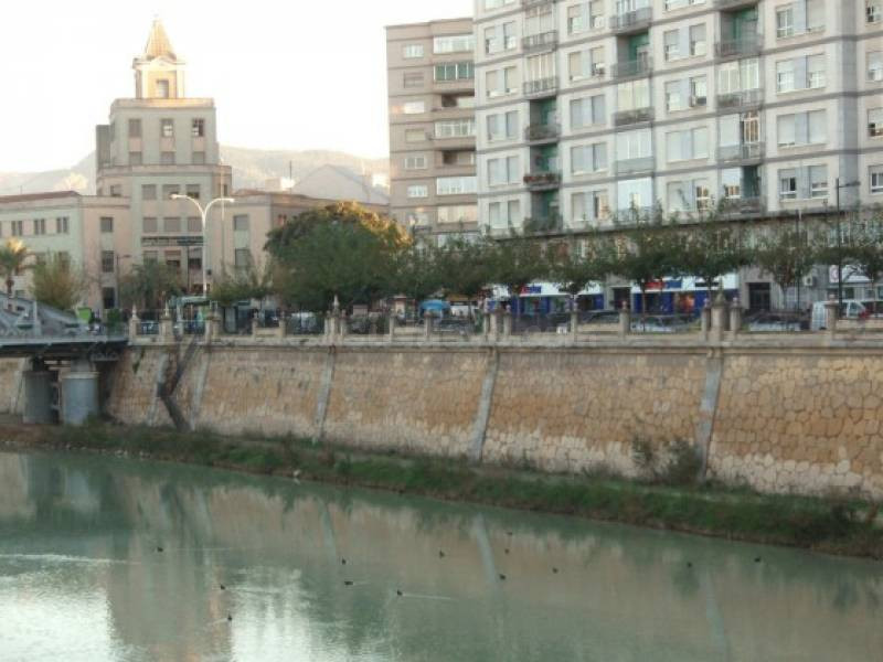 VENTA DE LOCAL COMERCIAL EN AVENIDA DEL RIO SEGURA - foto 2