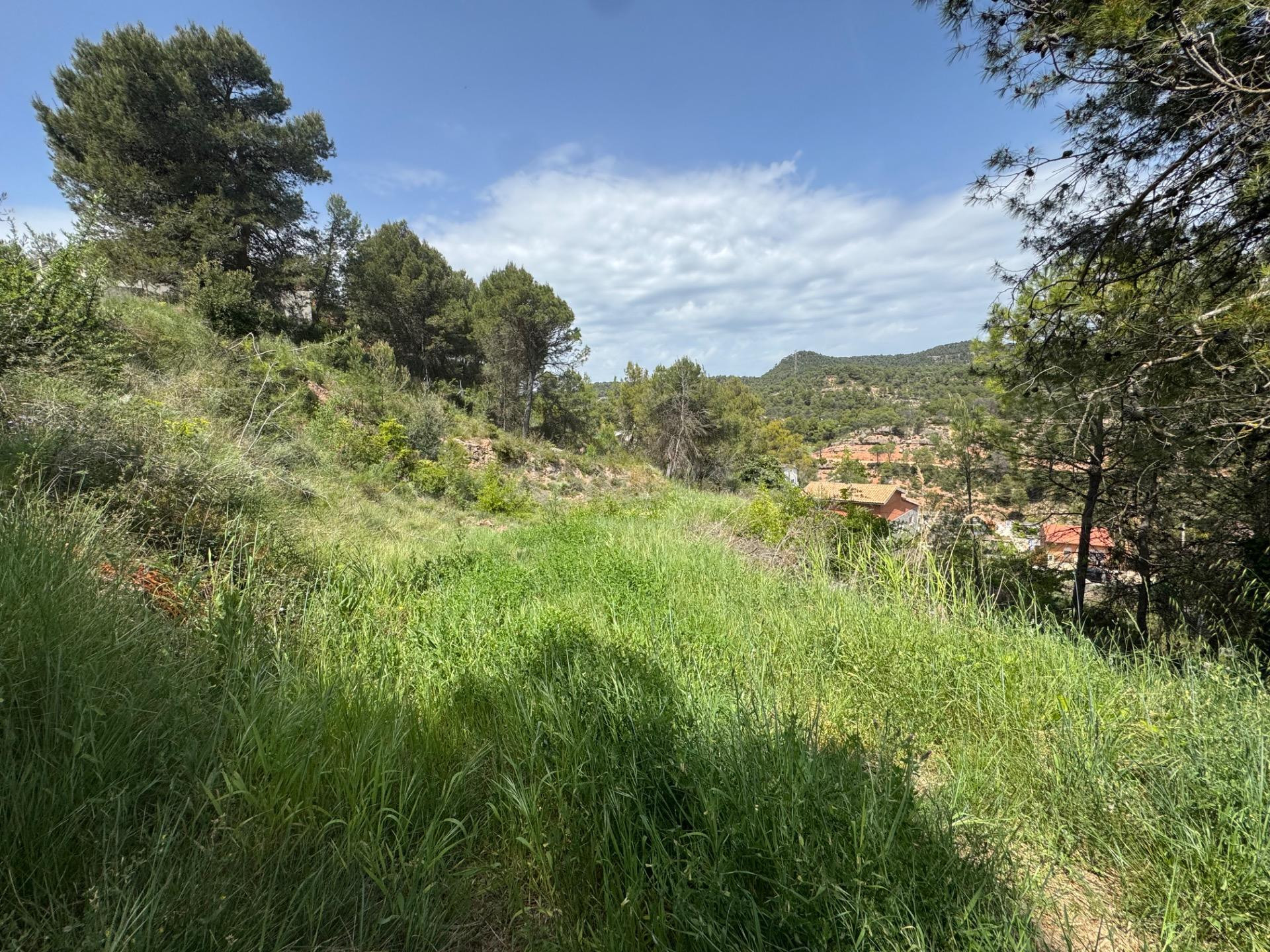 TERRENO EN URB. LES GARRIGUES DE LA POBLA DE CLARAMUNT - foto 2