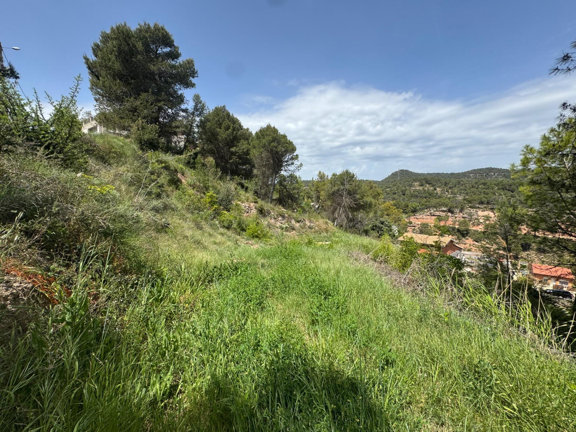 TERRENO EN URB. LES GARRIGUES DE LA POBLA DE CLARAMUNT - foto 5