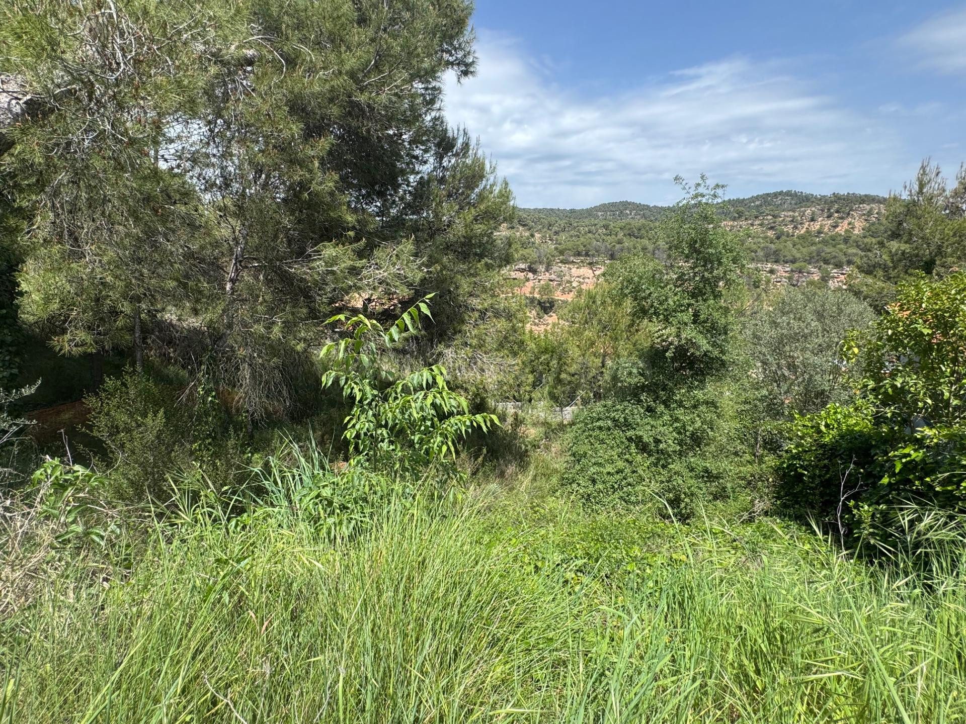 TERRENO EN URB. LES GARRIGUES DE LA POBLA DE CLARAMUNT - foto 3