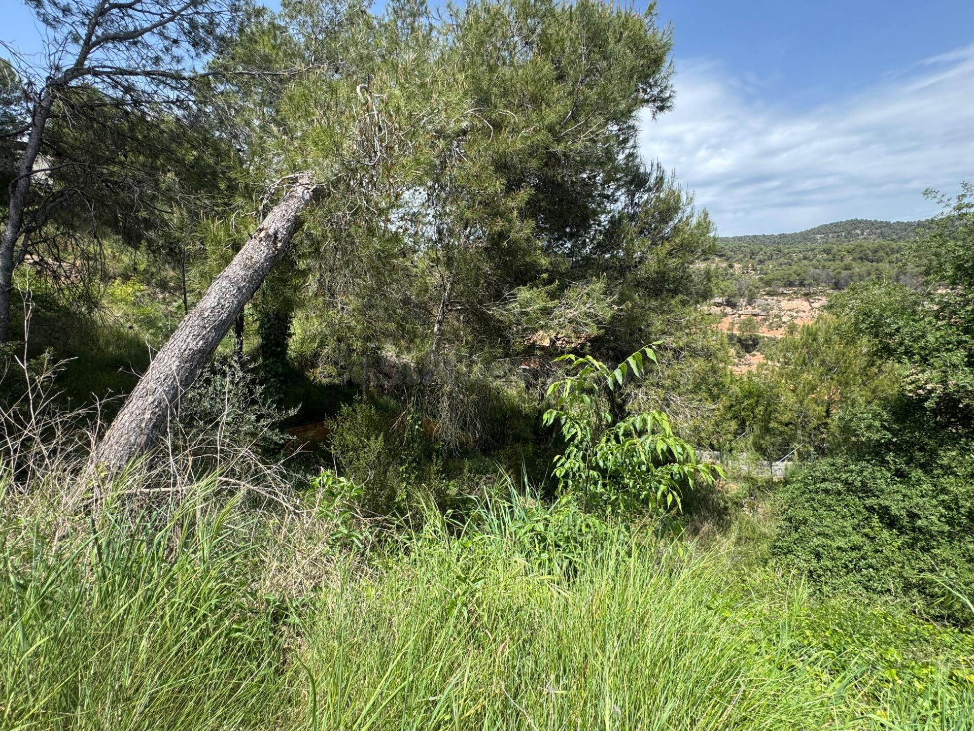 TERRENO EN URB. LES GARRIGUES DE LA POBLA DE CLARAMUNT - foto 4