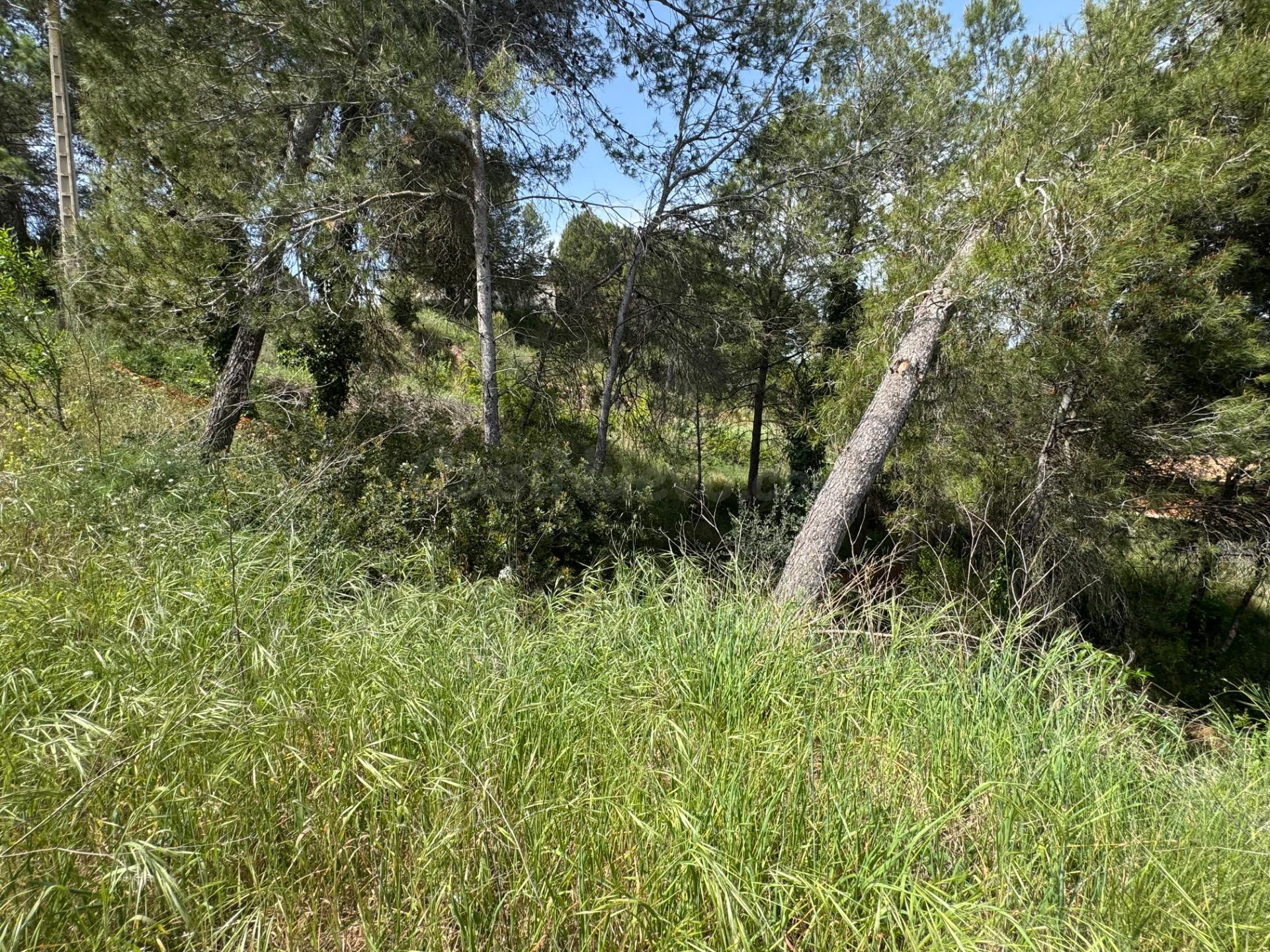 TERRENO EN URB. LES GARRIGUES DE LA POBLA DE CLARAMUNT - foto 5
