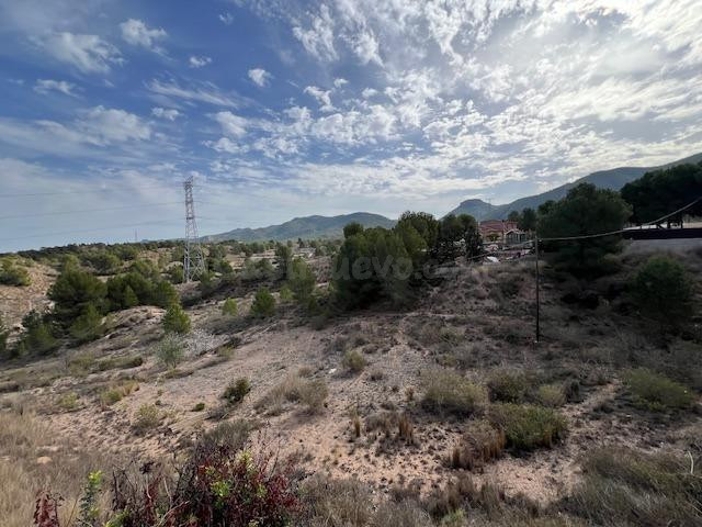 VENTA PARCELA-SOLAR EDIFICABLE 1530 M2. EN LA PALOMA (EL PAL