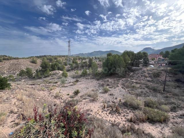 VENTA PARCELA-SOLAR EDIFICABLE 1530 M2. EN LA PALOMA (EL PAL - foto 2