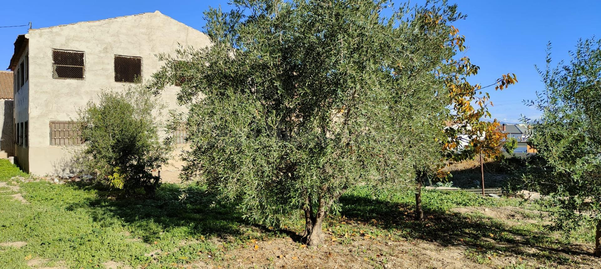 Venta de casa en planta baja en Alguazas.