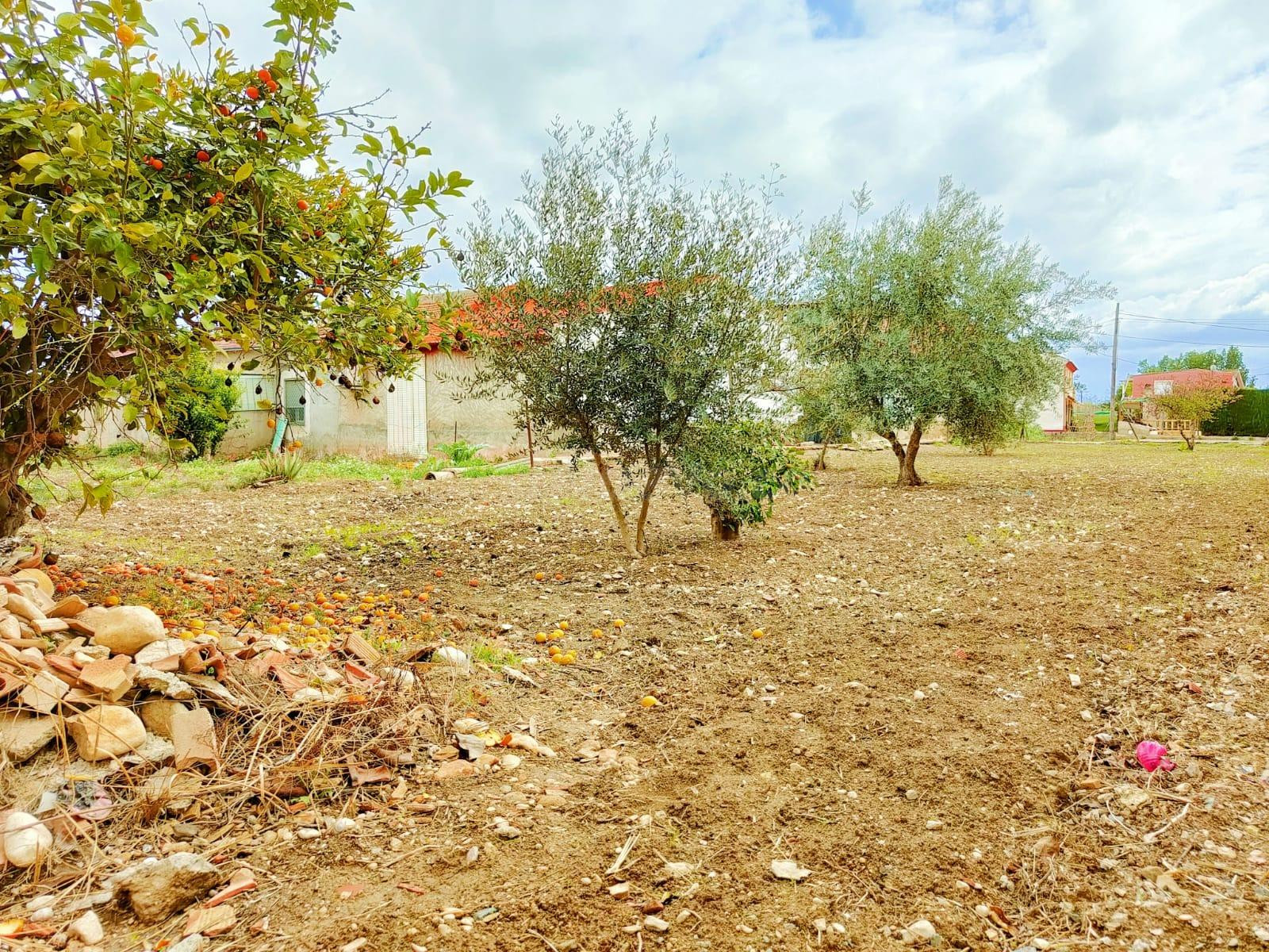 Venta de casa en planta baja en Alguazas. - foto 2