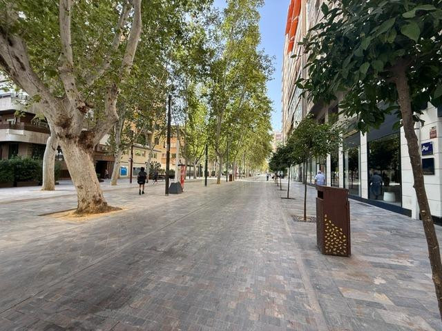 PISO VENTA 4 DORMITORIOS C/ BARTOLOME PEREZ CASAS