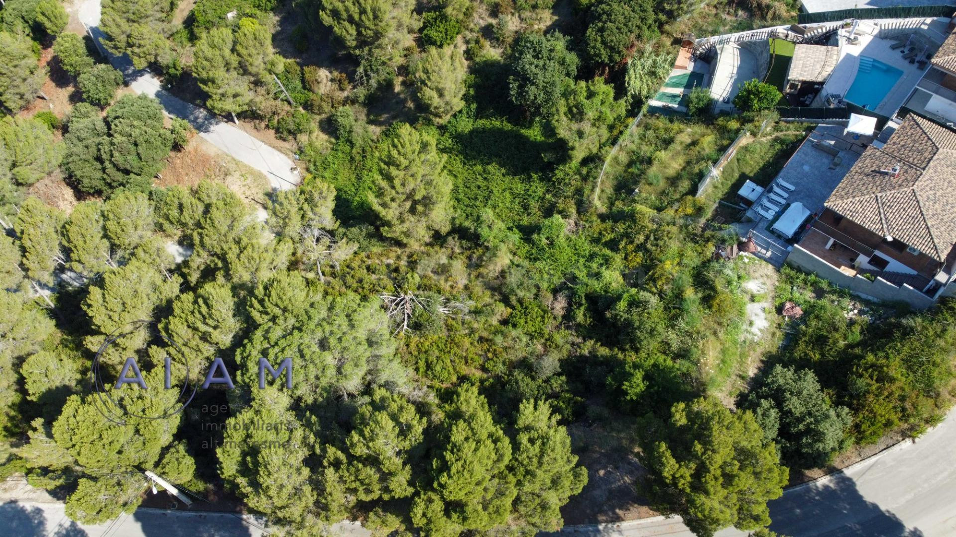 Posibilidad de edificar casa en una sola planta
