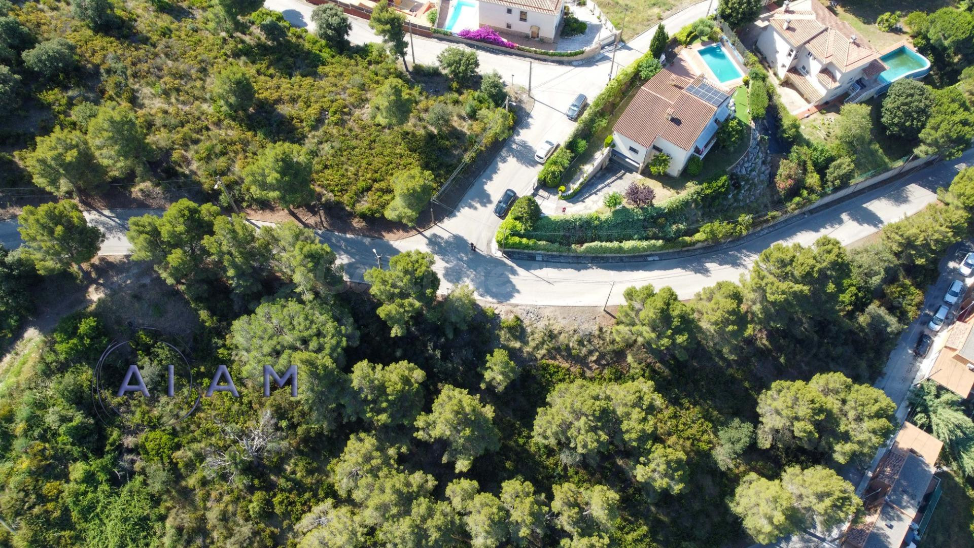 Posibilidad de edificar casa en una sola planta - foto 5