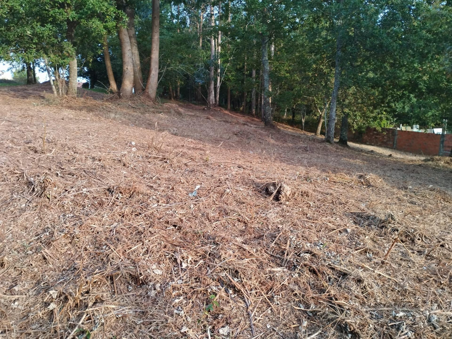 Terreno urbano en Beade - foto 2