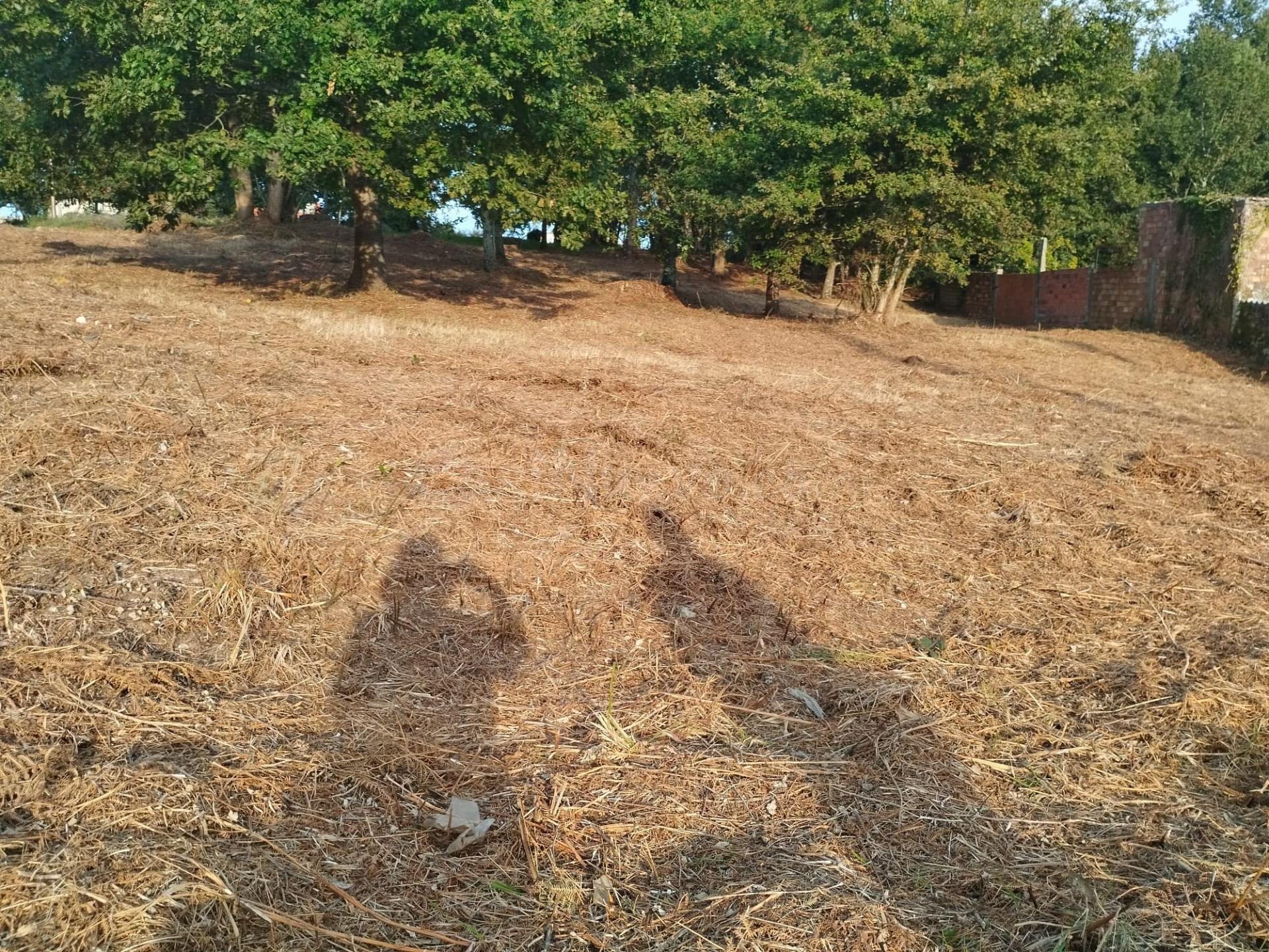 Terreno urbano en Beade - foto 3