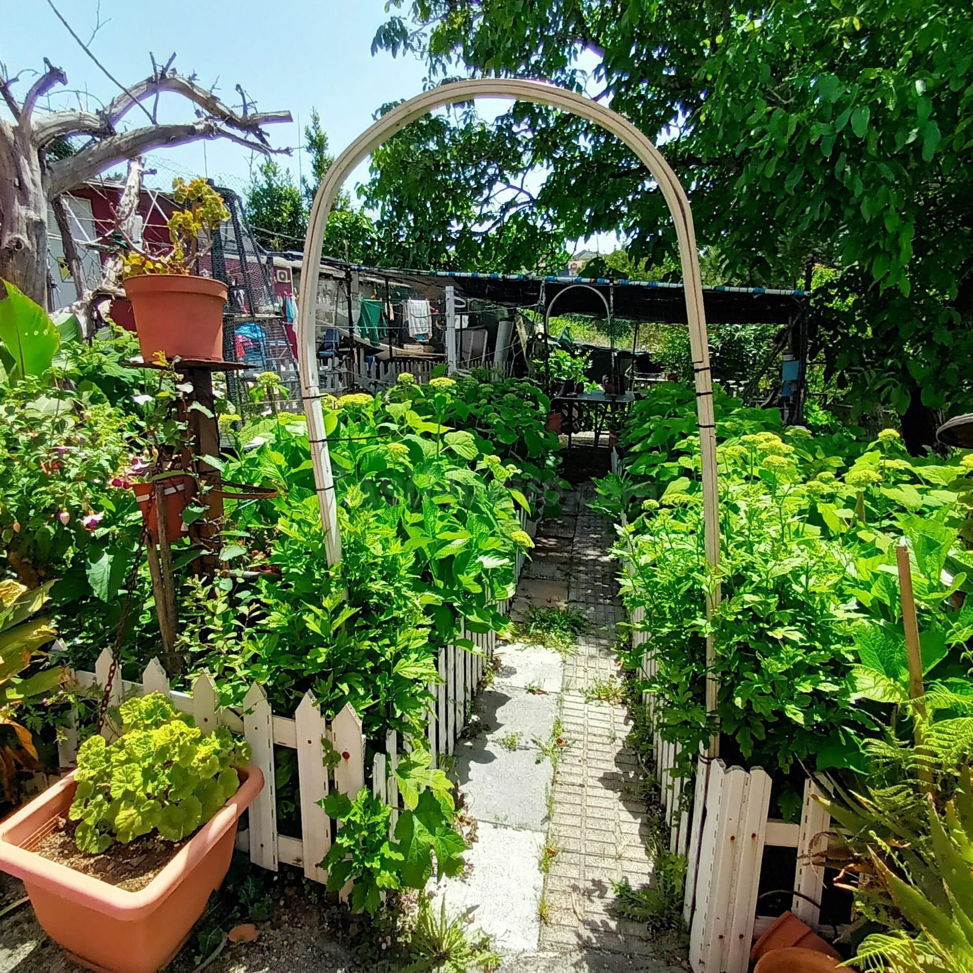 Casa con terreno en Cabral - foto 5