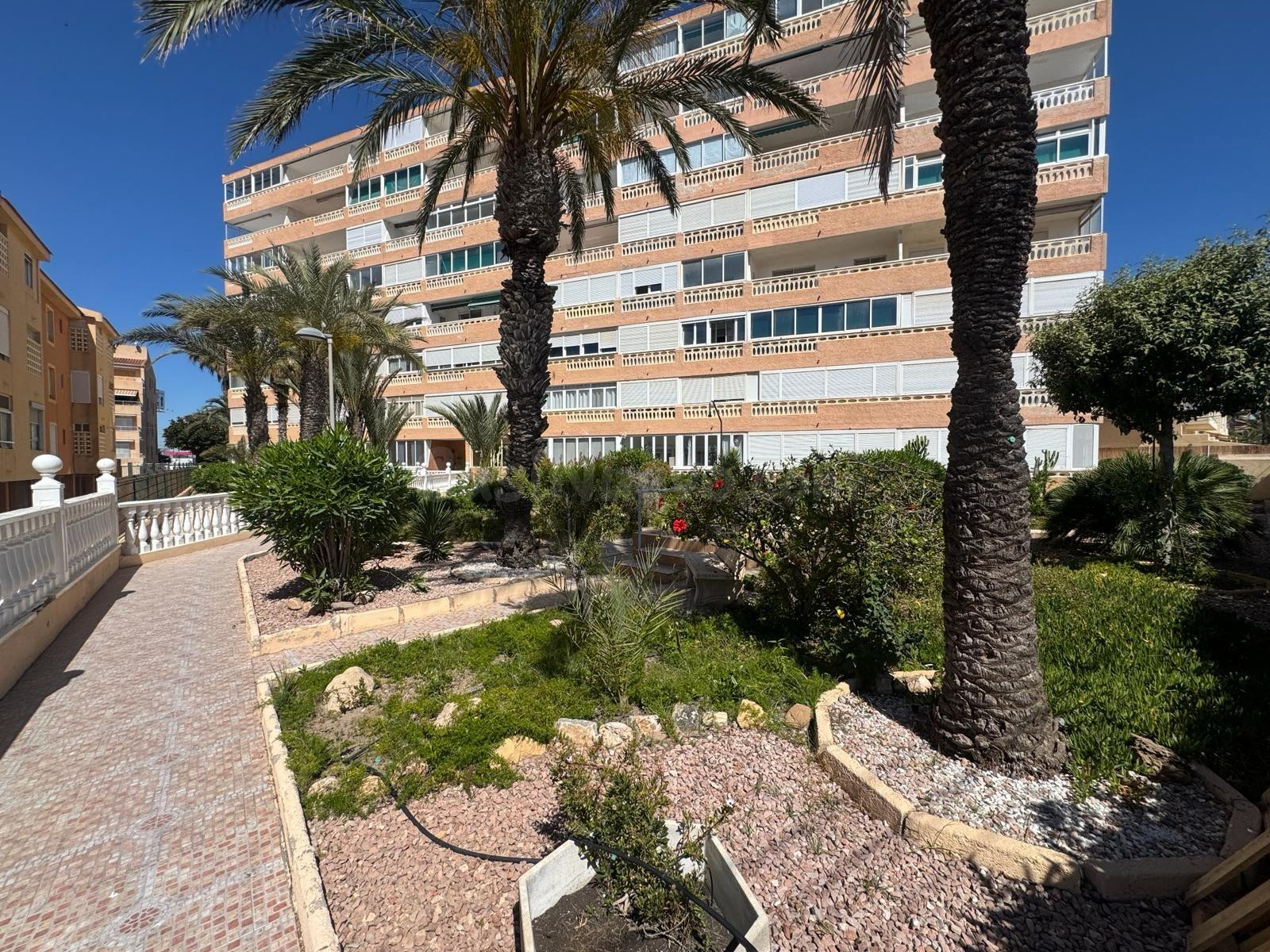 Estudio totalmente reformado a 100 metros de la playa de la Mata