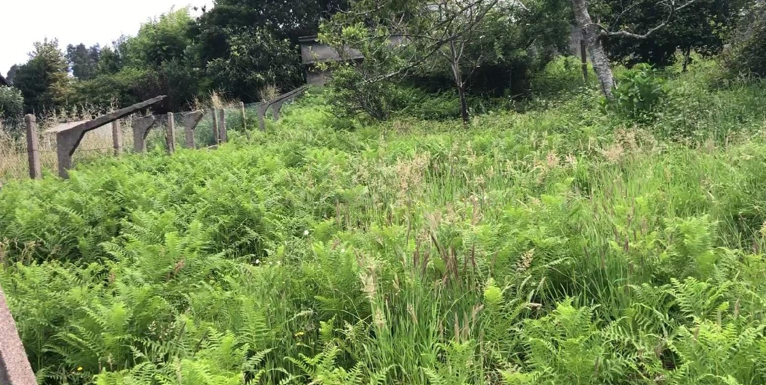 Terreno urbano edificable de 1.285 m2 con vistas en Lavadore - foto 4
