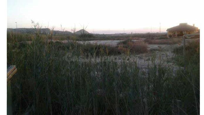 Suelo urbanizable sectorizado en venta en Alguazas - foto 2