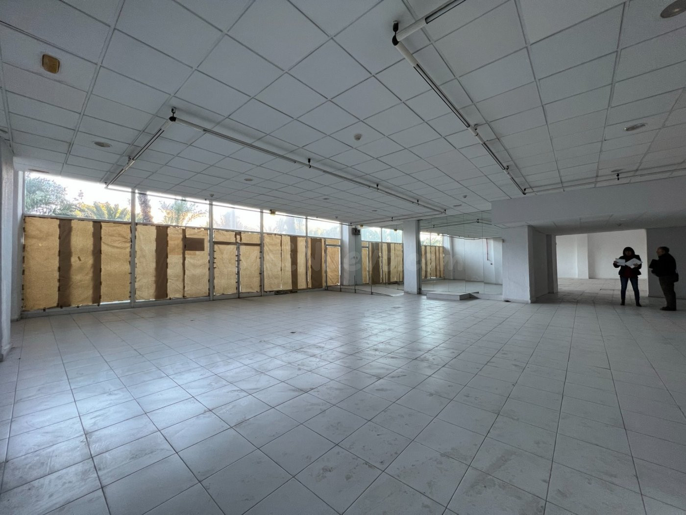 LOCAL COMERCIAL (739m2) en alquiler AVENIDA DE LA UNIVERSIDA - foto 3