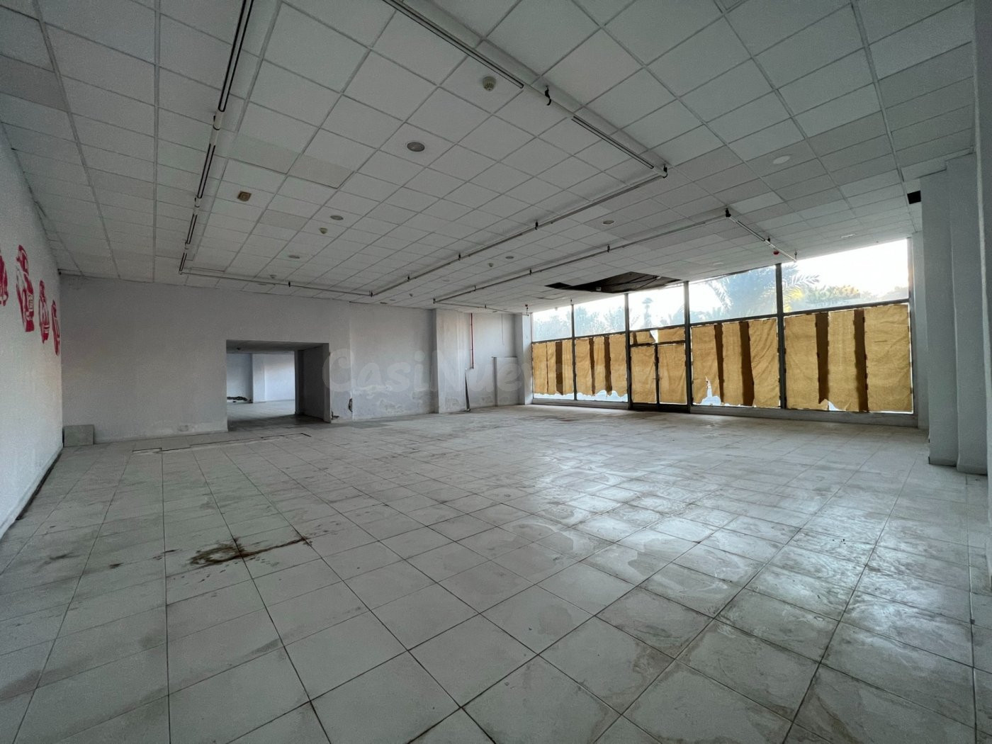 LOCAL COMERCIAL (739m2) en alquiler AVENIDA DE LA UNIVERSIDA - foto 4
