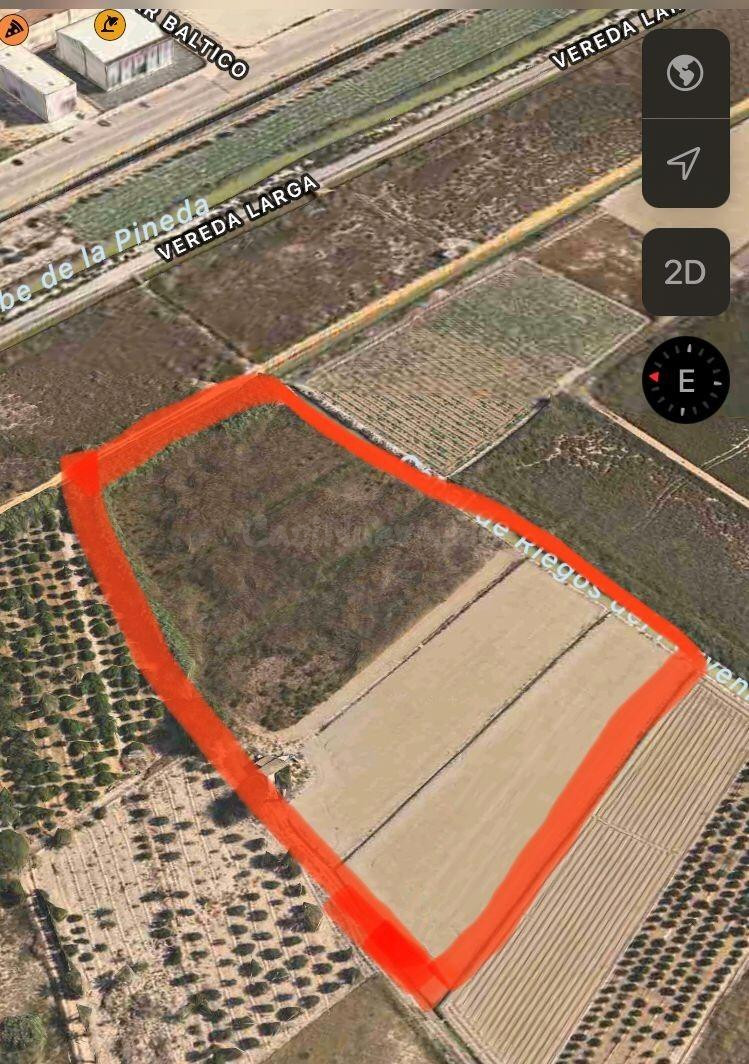 TERRENO en VENTA entre Guardamar y La Marina - foto 2