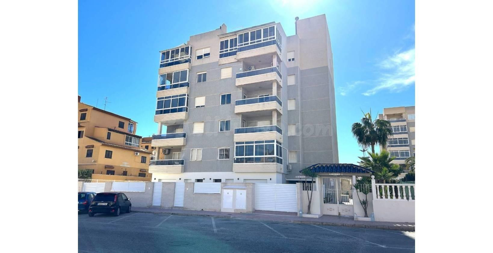 PLANTA BAJA 3 DORMITORIOS Y 2 BAÑOS EN TORREVIEJA