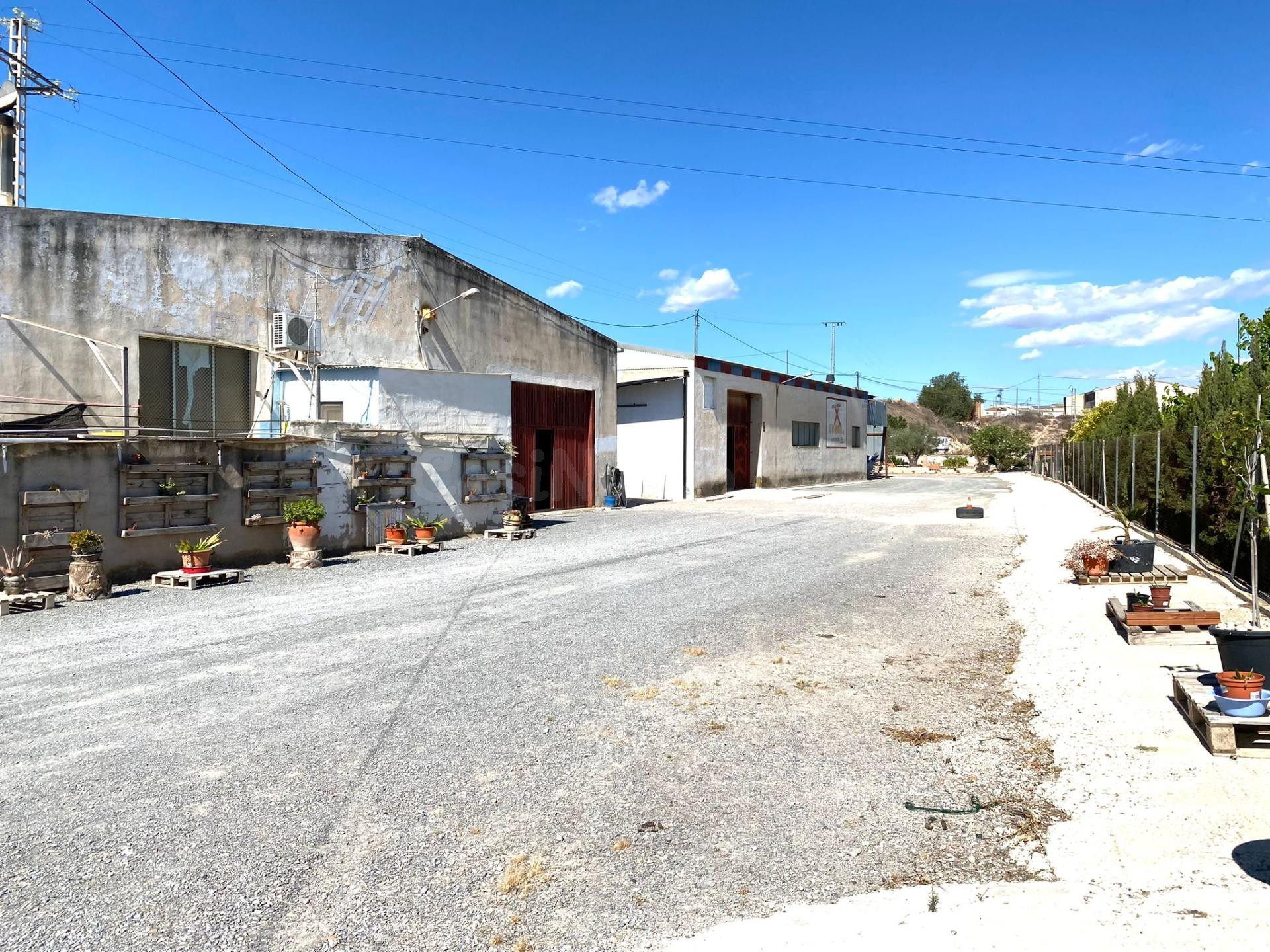 Nave industrial 643m² en venta - Aspe - foto 2