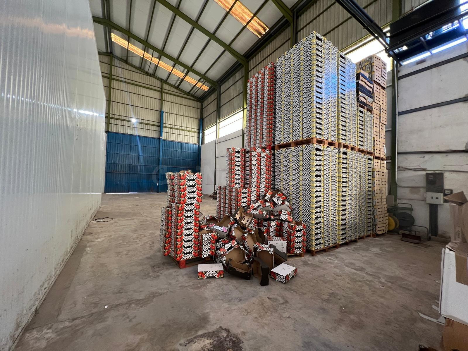 Nave industrial 1807m² en alquiler - Maitino - foto 5