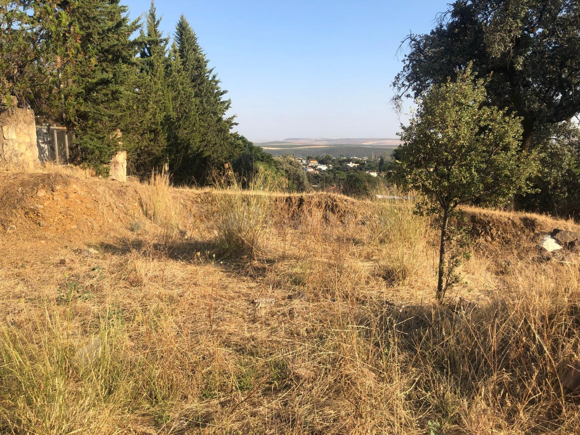 Terreno urbano en Encinares de Alcolea Oportunidad única en  - foto 3