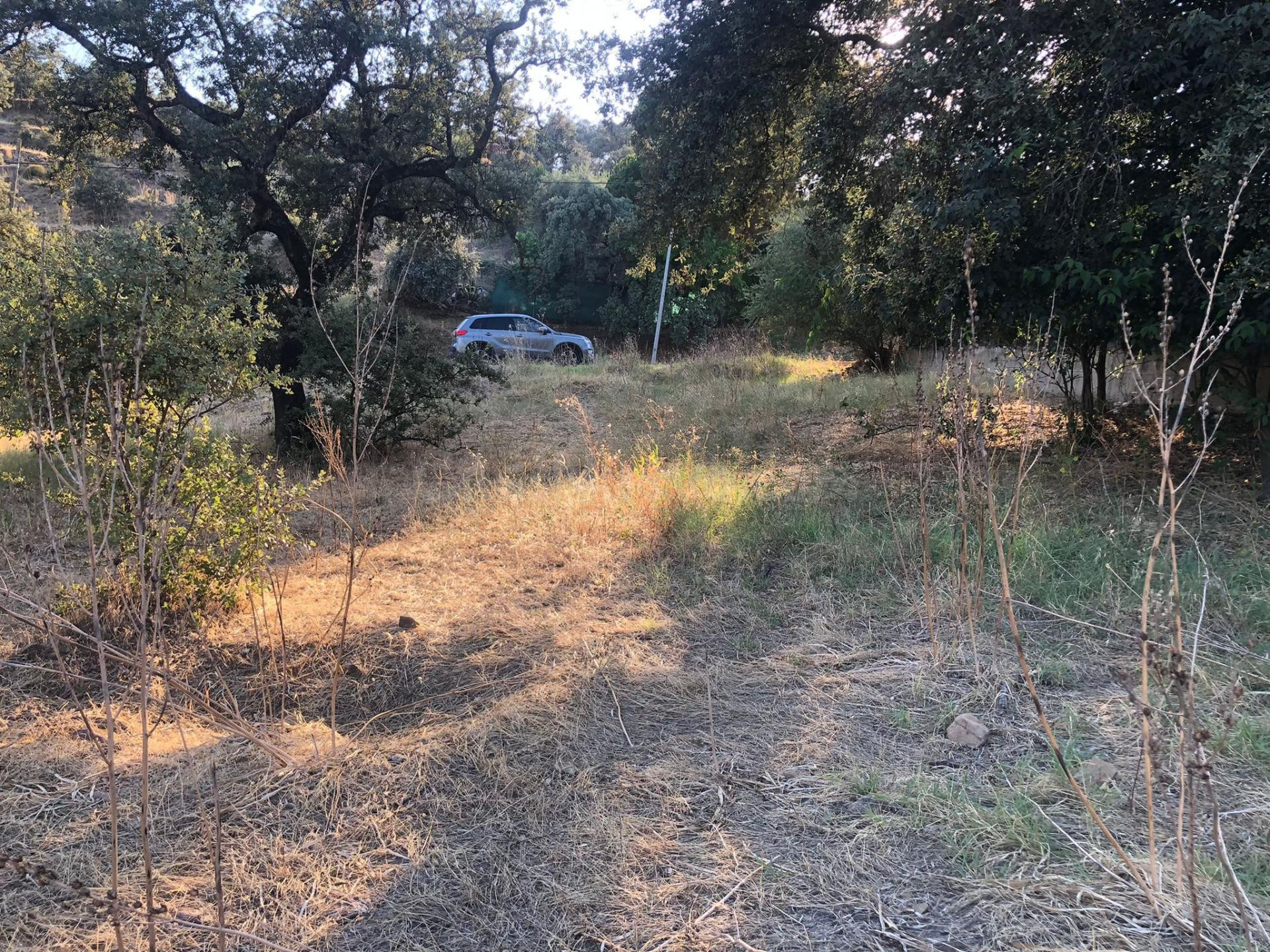 Terreno urbano en Encinares de Alcolea Oportunidad única en  - foto 5
