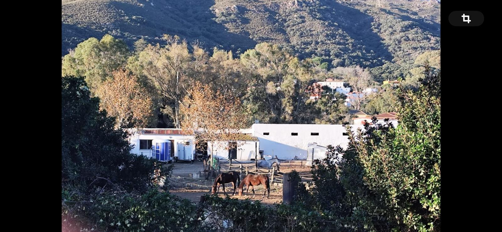 Finca Ecuestre de 5.086 m2 con 26 boxes en Pelayo
