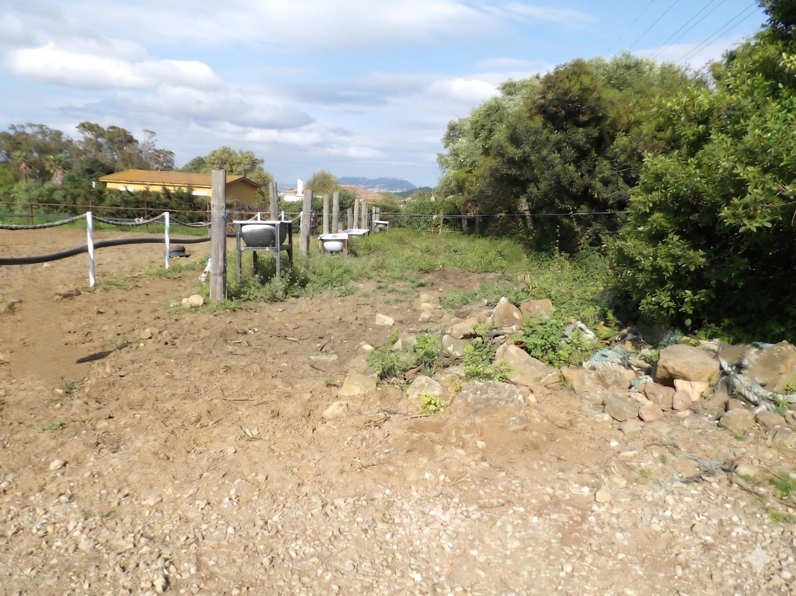 Finca Ecuestre de 5.086 m2 con 26 boxes en Pelayo - foto 3