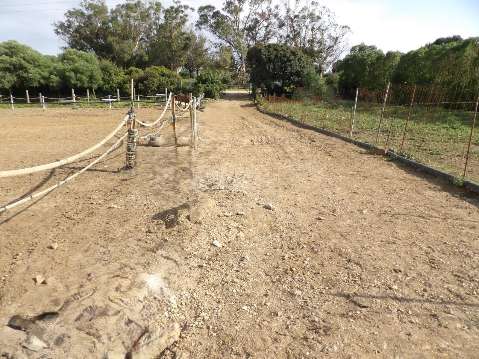 Finca Ecuestre de 5.086 m2 con 26 boxes en Pelayo - foto 4