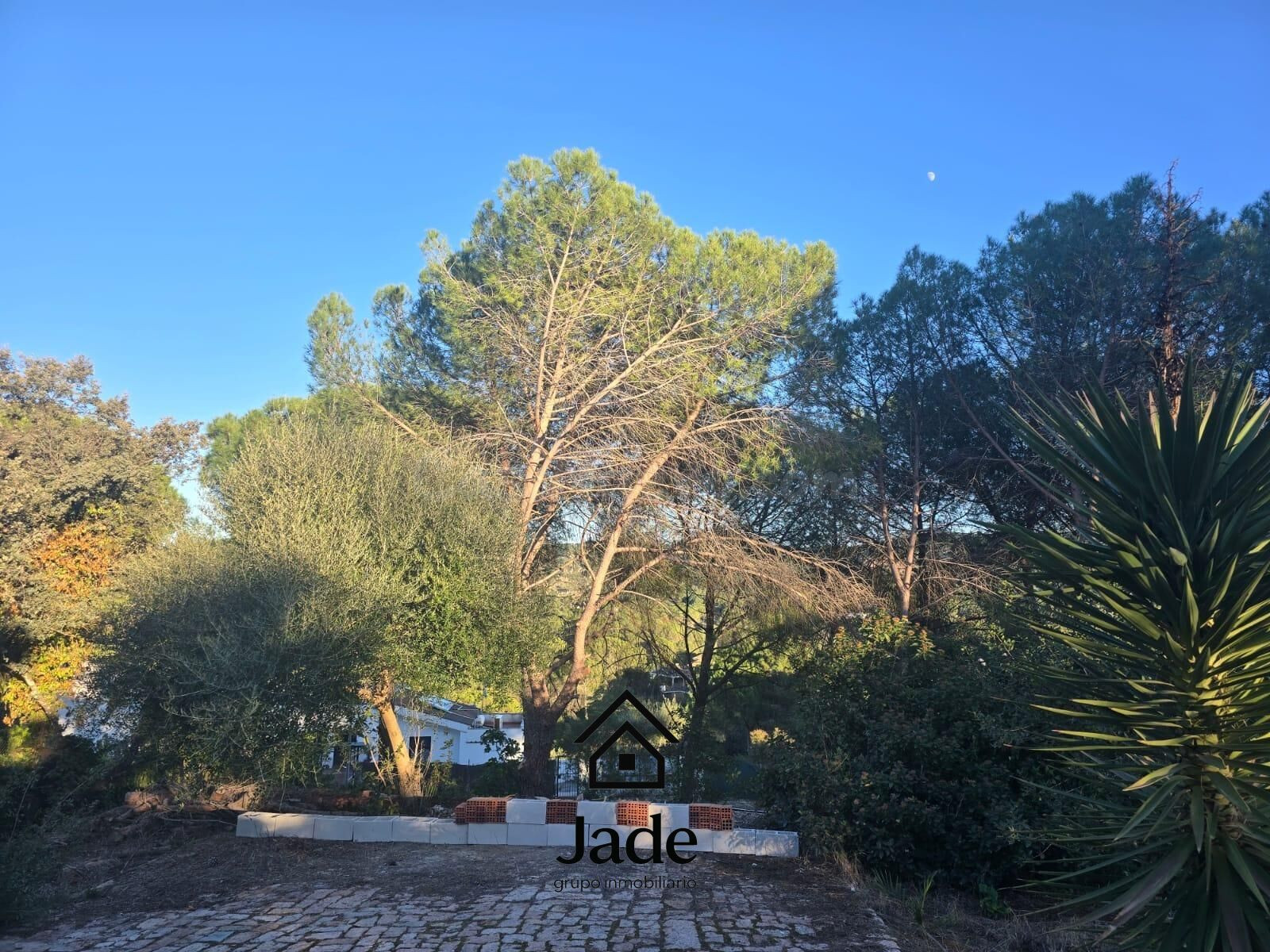Chalet Independiente en Venta en Las Jaras