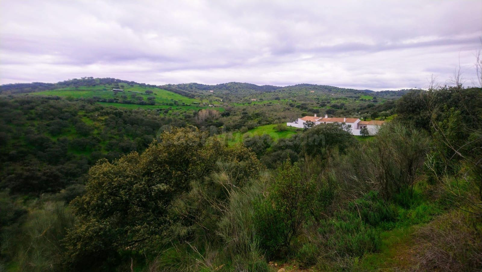 ¡Oportunidad Única! Finca con Olivar y Vivienda en Villanuev