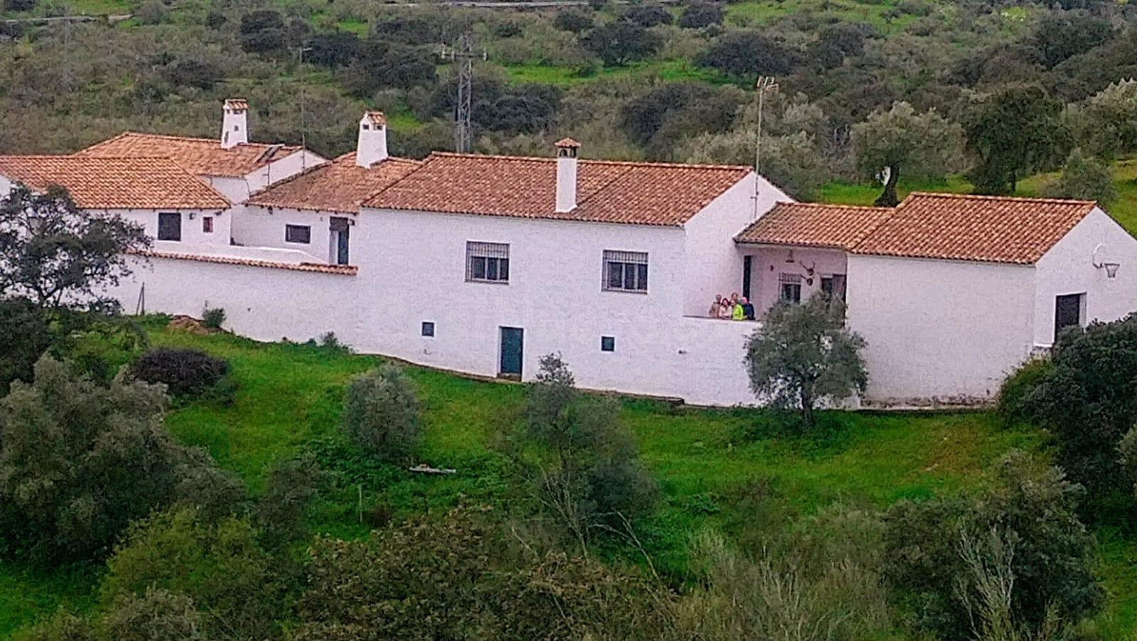 ¡Oportunidad Única! Finca con Olivar y Vivienda en Villanuev - foto 5