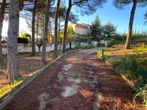 Exclusiva parcela Urbana en avda. del Brillante - Una Ubicac - foto 3