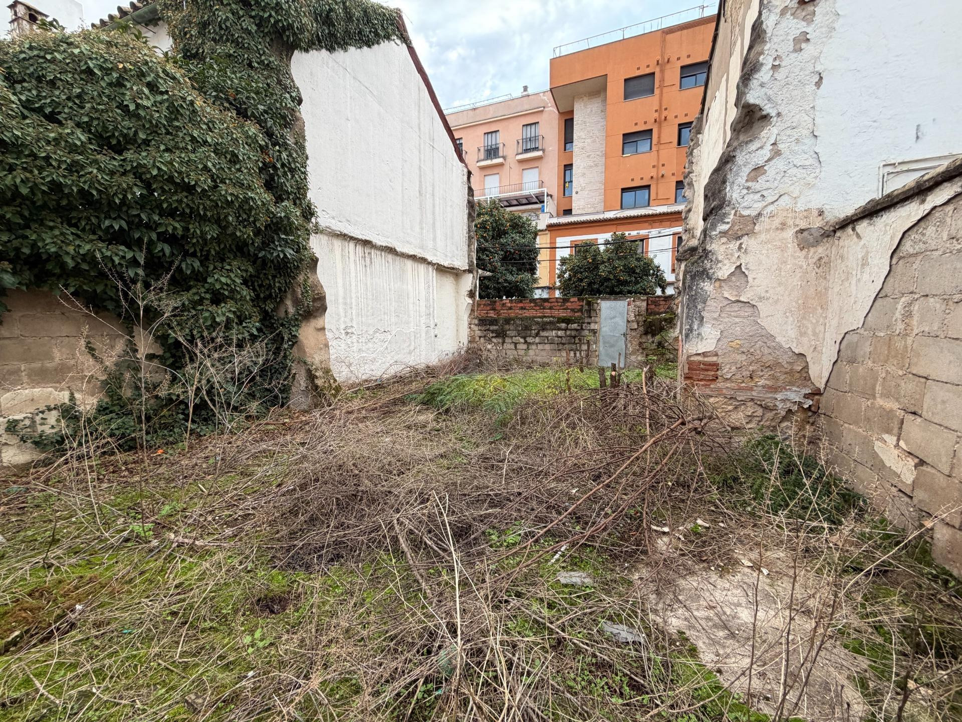 VENTA DE MAGNIFICO SOLAR EN CIUDAD JARDIN - foto 2