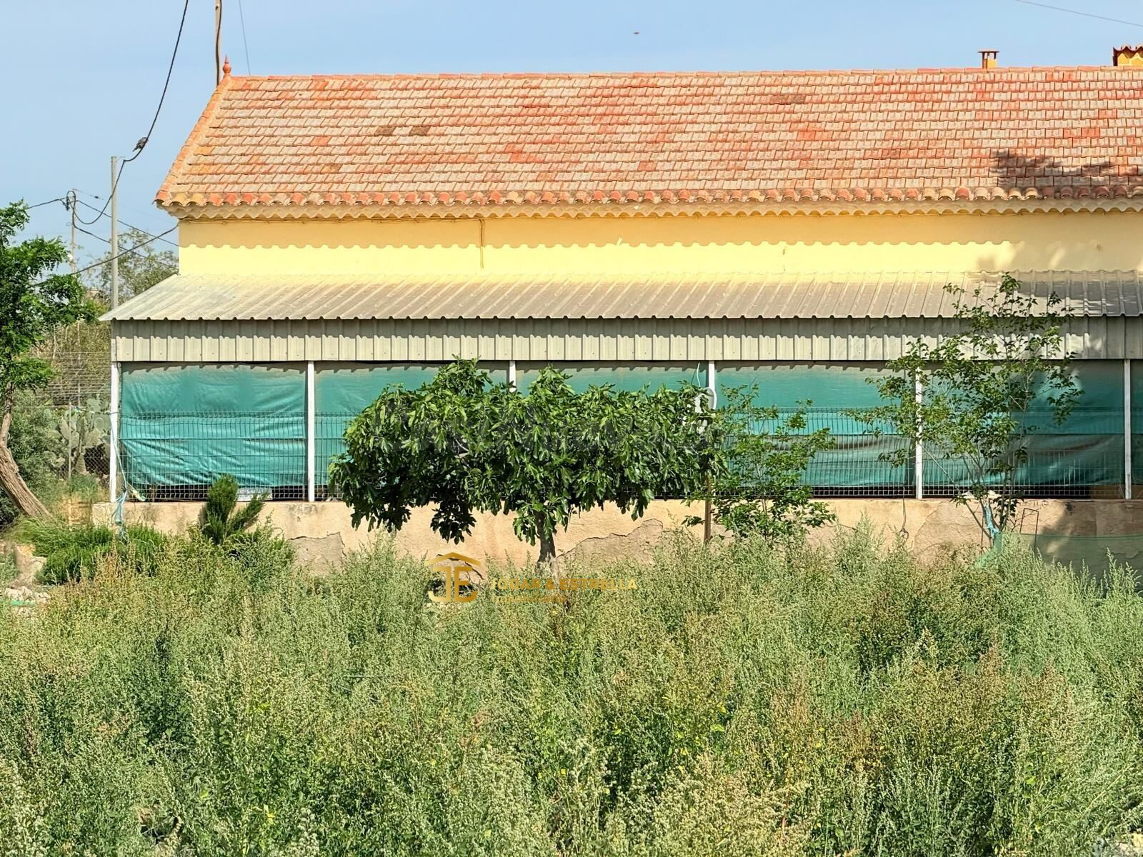 CASA DE CAMPO EN CRTA PULPI - foto 3