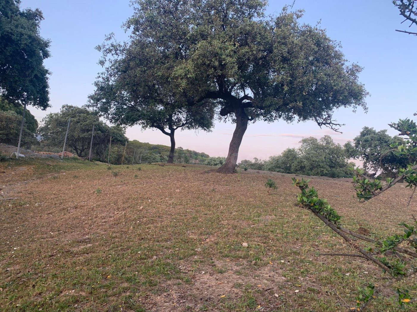 Terreno urbano en venta - Calasancio - foto 4