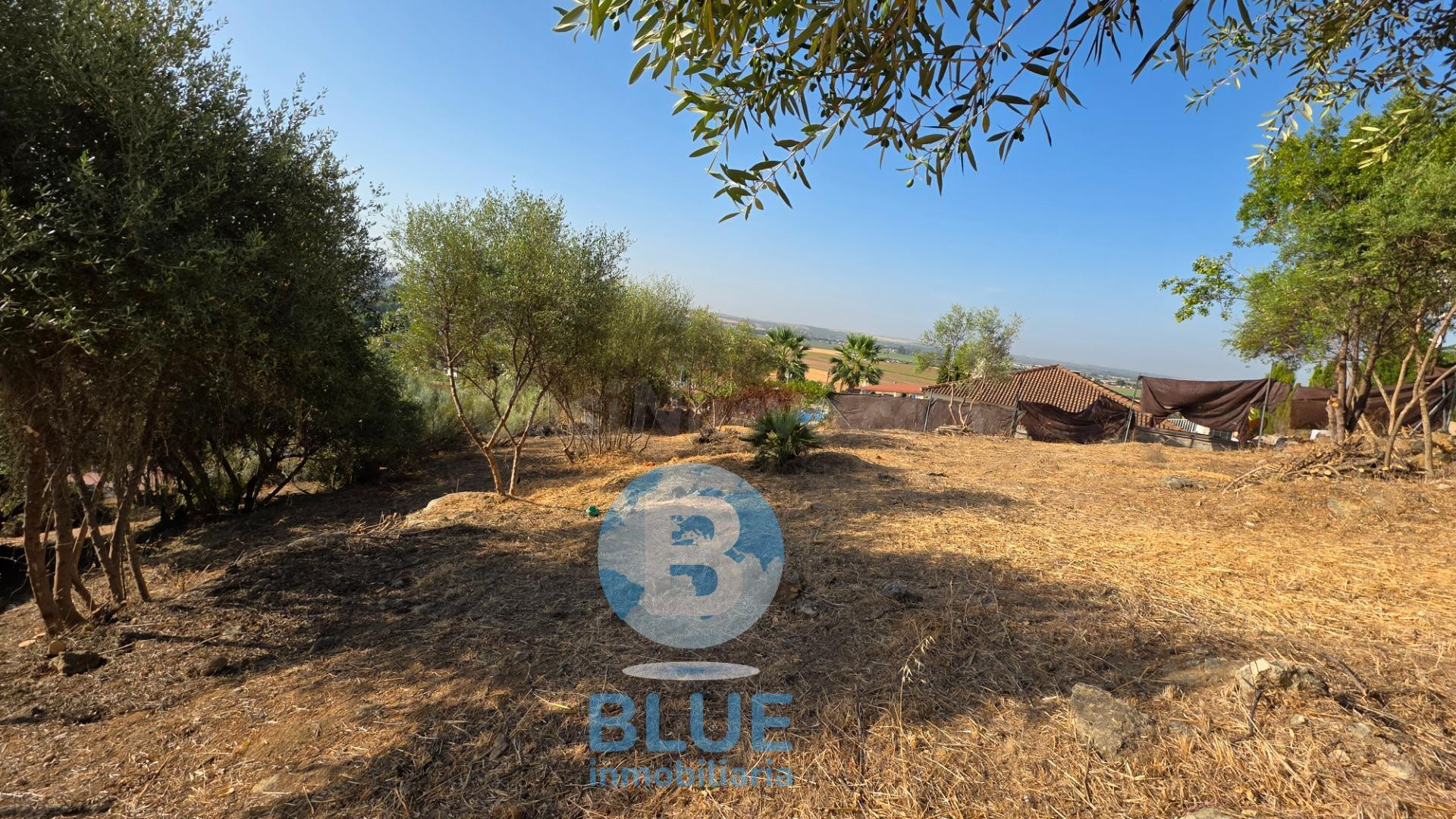 Venta de Parcela en Almodóvar del Río – 1.276.25 m2 - foto 4