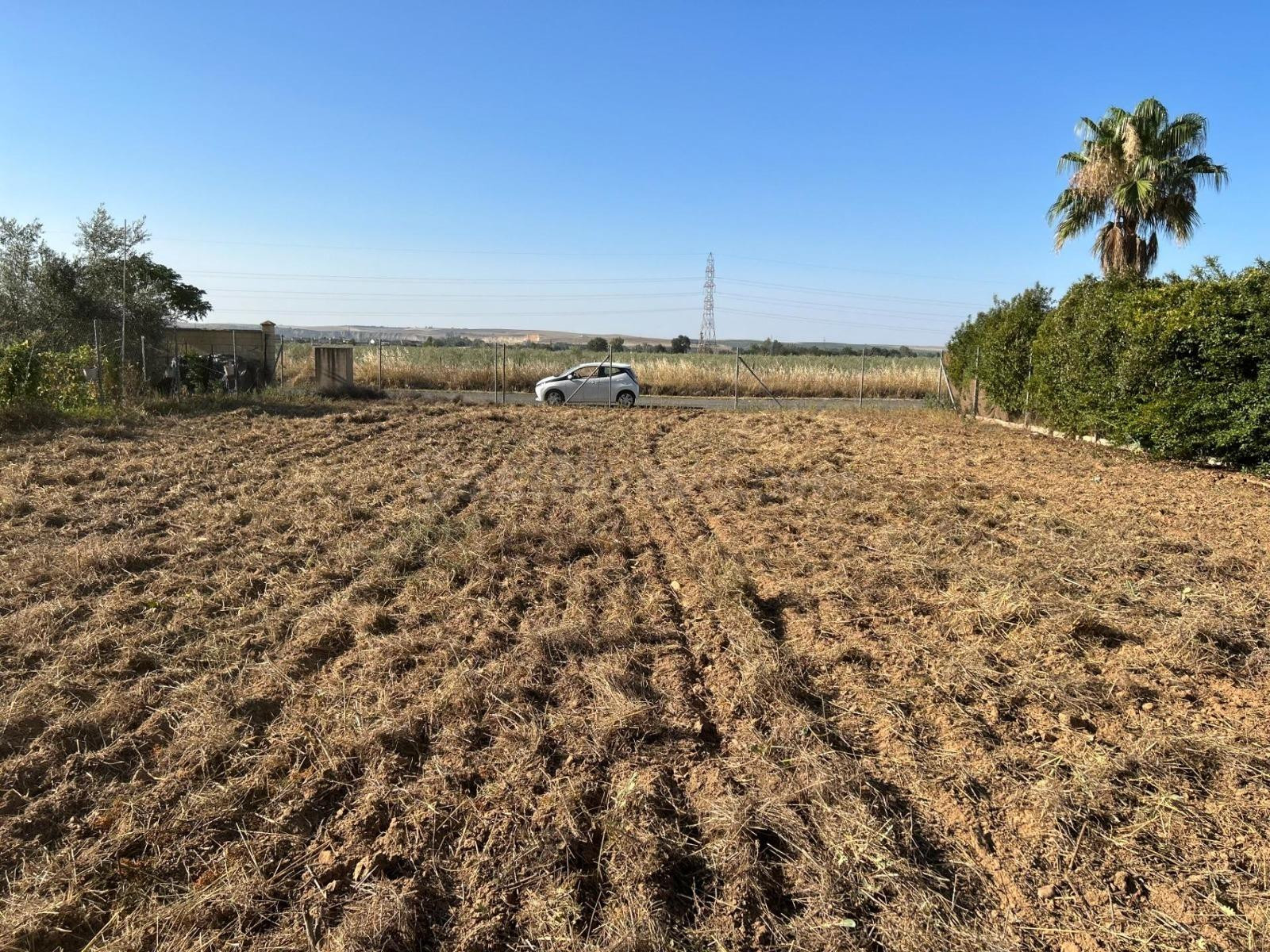 ¡¡ TERRENO DE 1.500 M2 TOTALMENTE LLANO Y LISTO PARA CONSTRU - foto 3