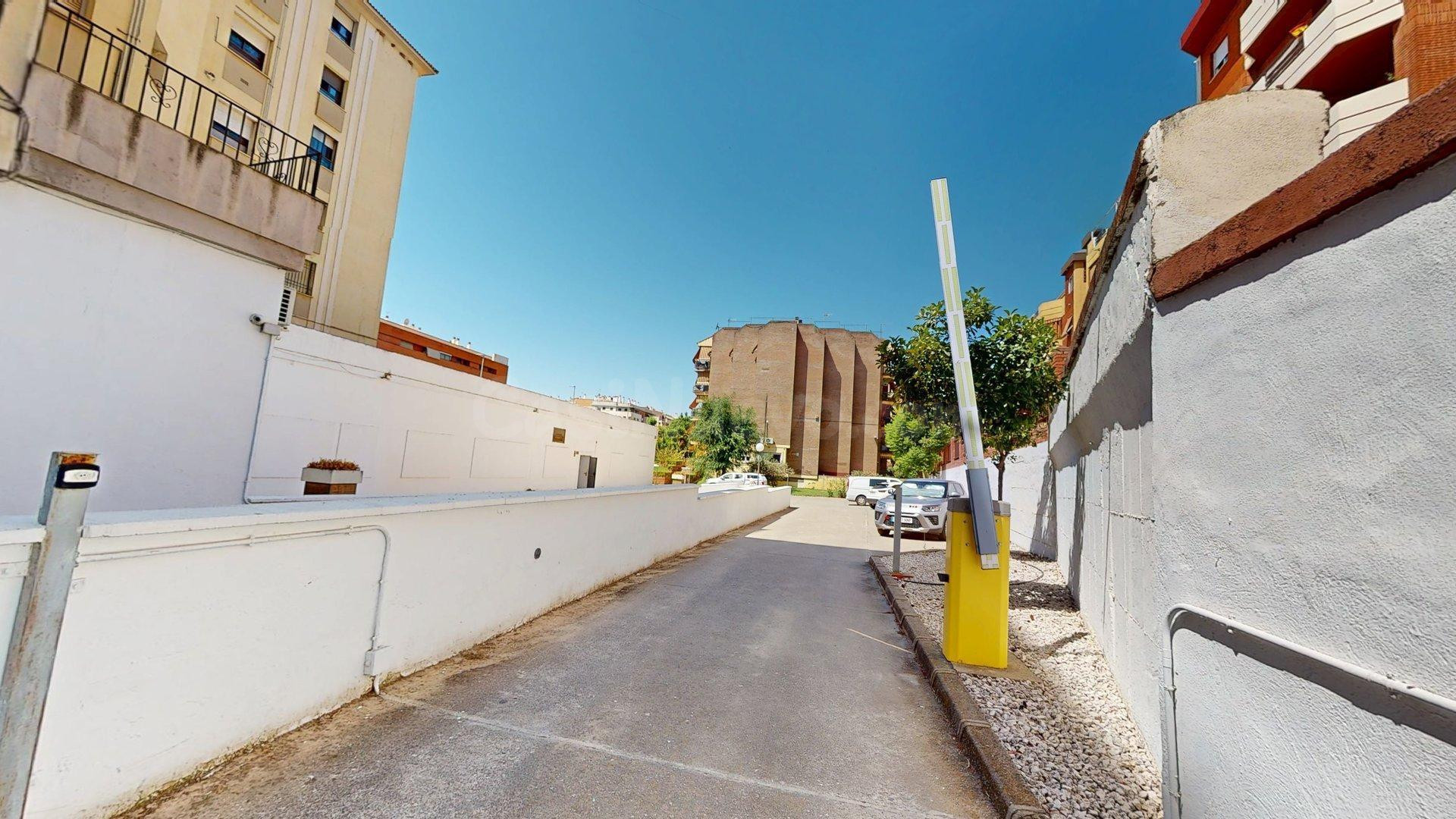 Amplia vivienda de 4 dormitorios con terraza en Avda. Aeropu - foto 3