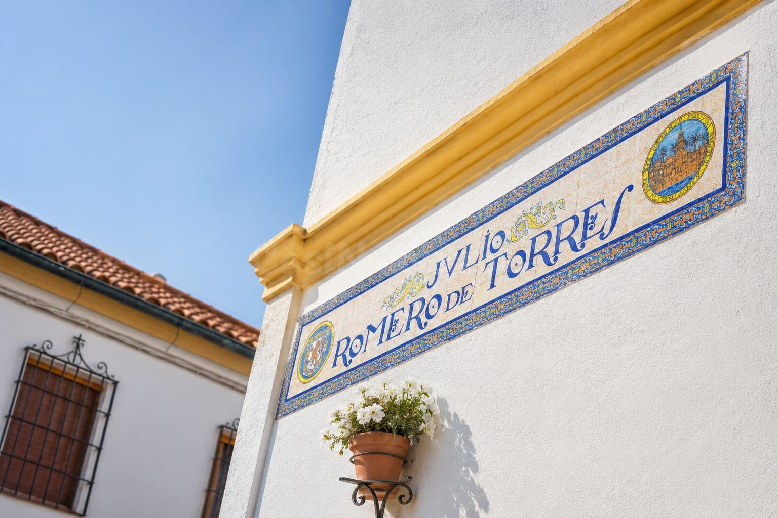 MAJESTUOSA CASA ANDALUZA DE 7 DORMITORIOS EXTERIORES EN PLEN - foto 3