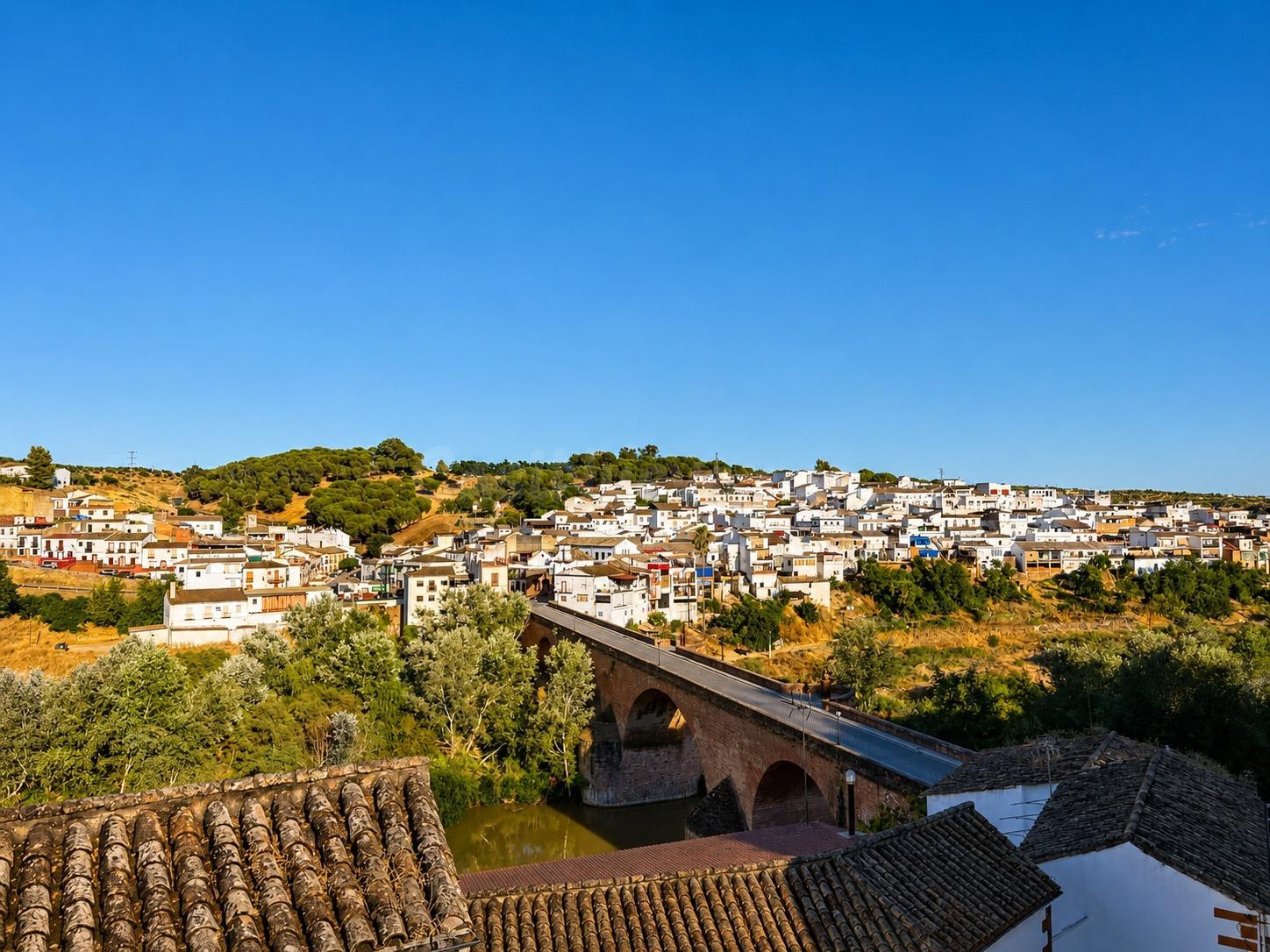 VISTAS ESPECTACULARES EN MONTORO!!! - foto 2